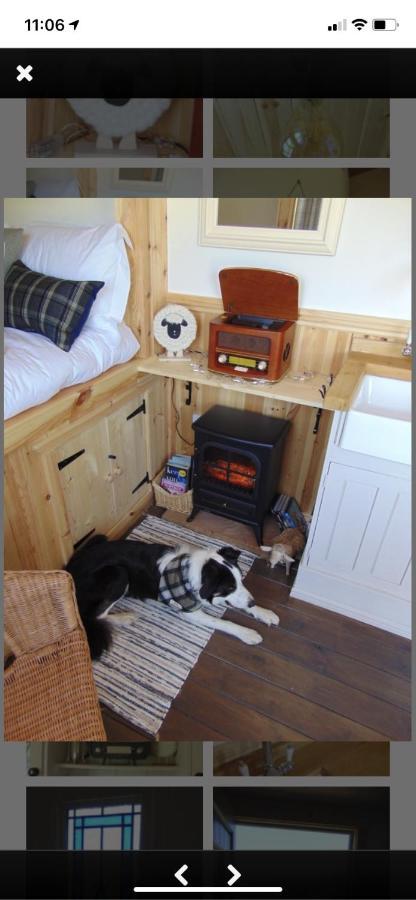 Sheepwash Shepherds Hut Bebside Exterior foto